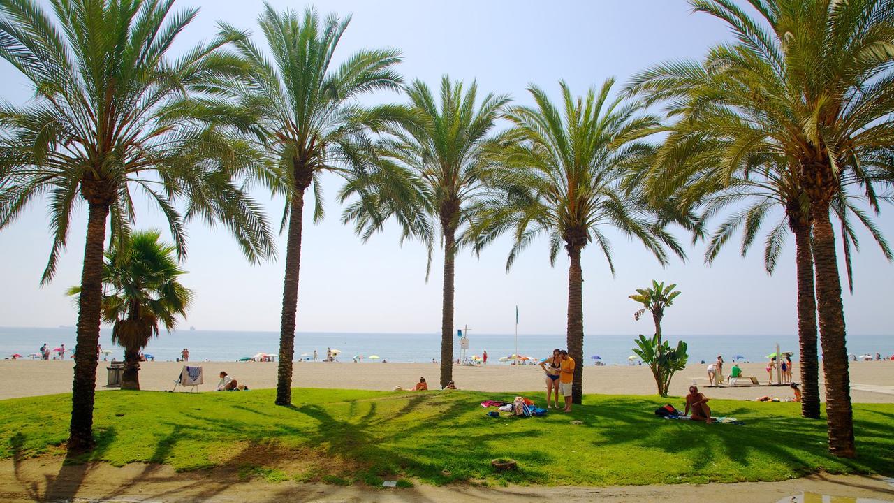 Iloftmalaga Reding公寓 外观 照片